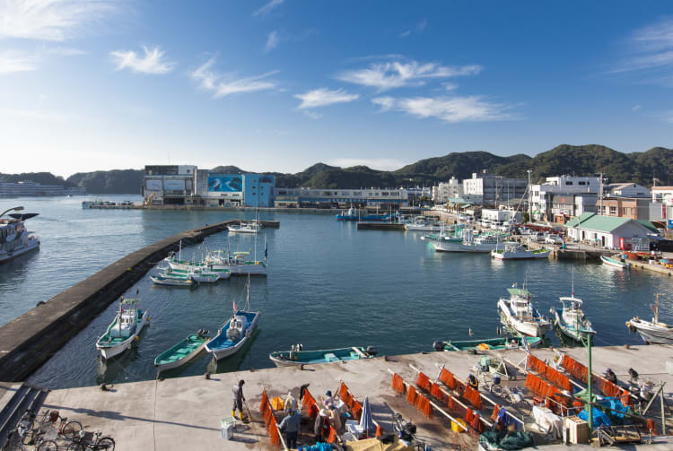 Katsuura Area